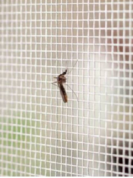 Mosquito Nets in Coimbatore